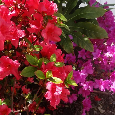 Eskualduna Chez Katina Отель 2*