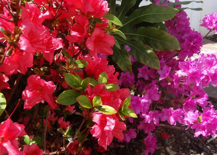 Eskualduna Chez Katina Hotel 2*